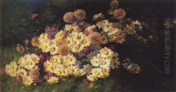 Blumenstrauss Mit Margriten, Skabiosen Und Lowenzahn Auf Wiese - view 1