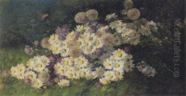 Blumenstrauss Mit Margriten Und Skabiosen Auf Wiese - view 1