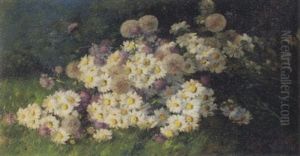 Blumenstrauss Mit Margriten Und Skabiosen Auf Wiese