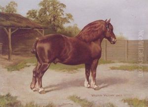 The Dark Red Suffolk Horse 'western Victory' by Charles Edwin M. Baldock