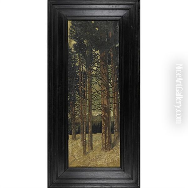 Forest Landscape - view 1