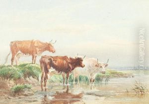 Cattle In A Pool by James Walsham Baldock