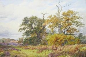 New Forest Scene With Stags by James Walsham Baldock