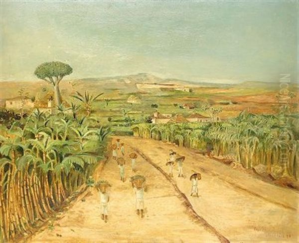 Landskap - Madeira - view 1