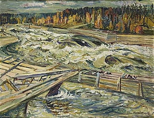 Fjallforsen - view 1