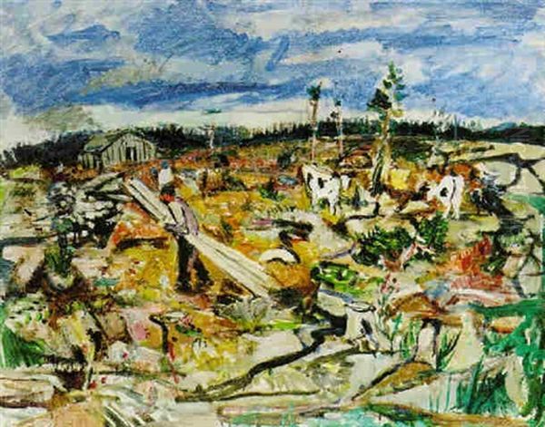 Kohagen - view 1