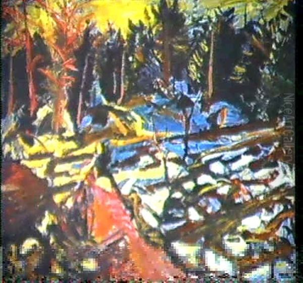 Marsvinter - view 1