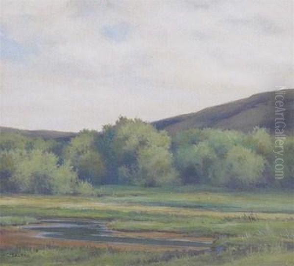 A Meandering River Landscape - view 1