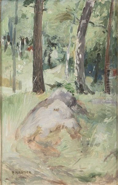 Forest - view 1