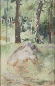 Forest Forest