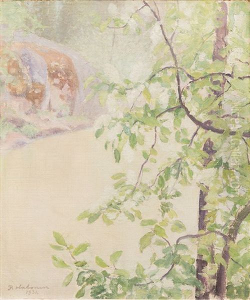 Flowering Bird Cherry - view 1
