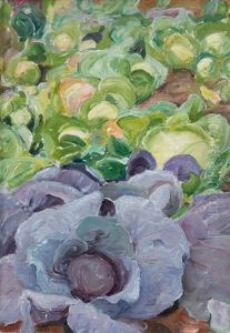 Red Cabbage Bed Red Cabbage Bed