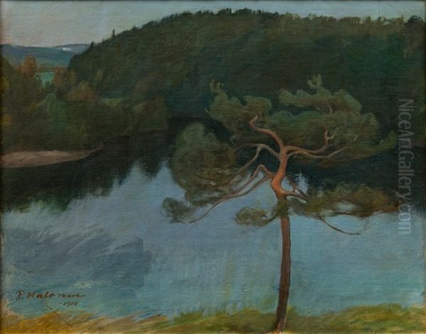 Pine Tree By The Shore - view 1