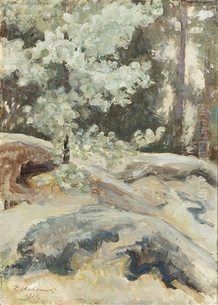 Summer Rocky Landscape - view 1