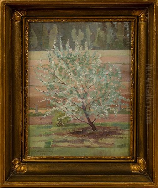 Apple Tree - view 1