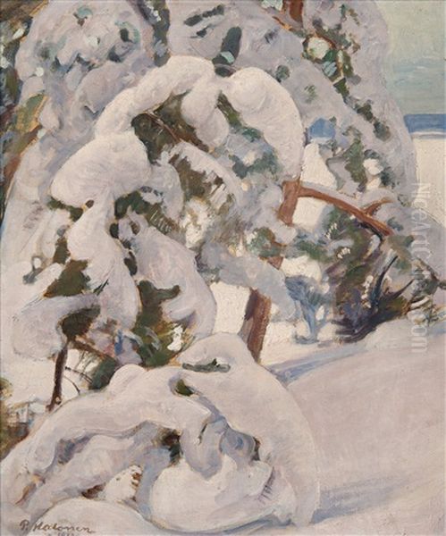 Snowy Pine Trees - view 1