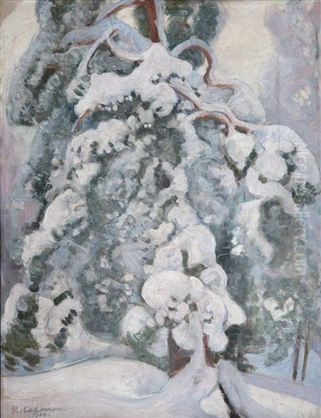 Snowy Pine-tree - view 1