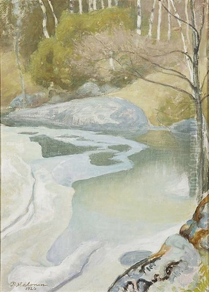 Springly Shore - view 1