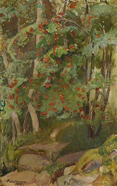 Rowanberries - view 1