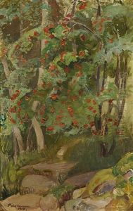 Rowanberries