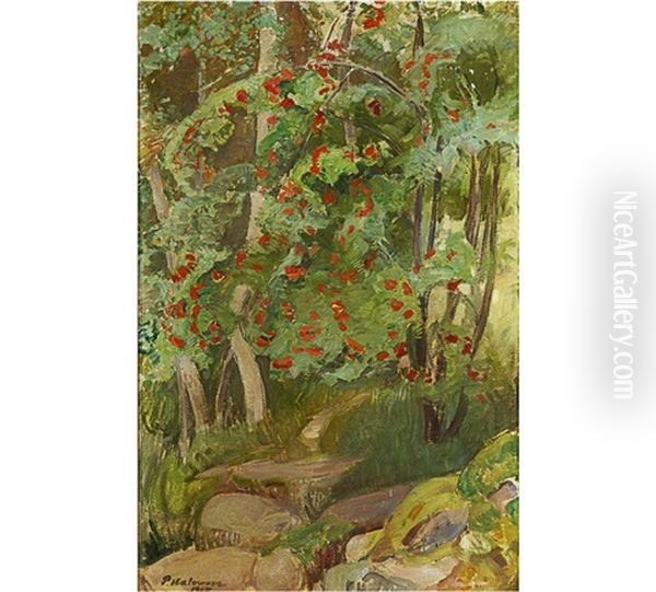 Rowanberries - view 1