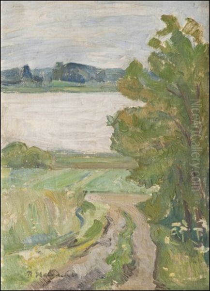 Nakyma Yli Jarven - view 1