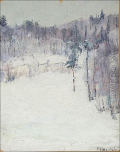 Talvimaisema - Vinterlandskap - view 1