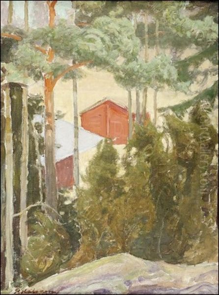 Talot Puiden Siimeksessa - view 1