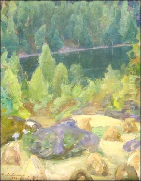 Kesakuva Kuhmoisista - view 1