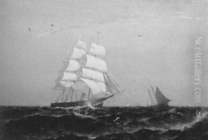 Ship, Launch And Schooners At Sea, Sunset Ship, Launch And Schooners At Sea, Sunset