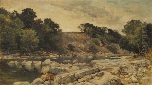 River Landscape With Woodland And Cattle By The Shore - view 1