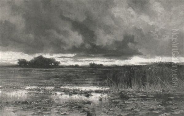 A Marshy Landscape At Dust - view 1