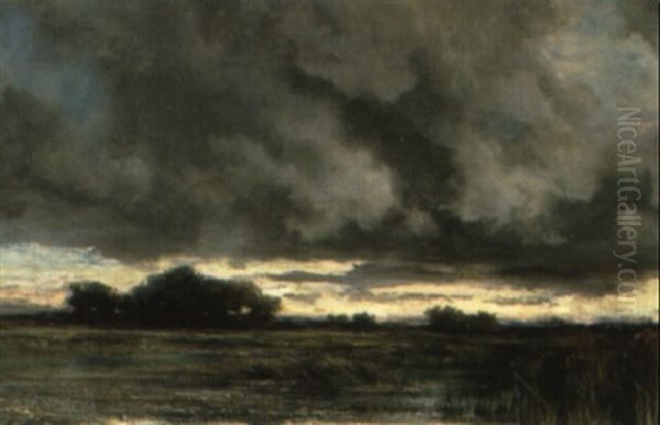 A Marshy Landscape At Dusk - view 1