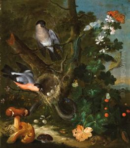 Stillleben Mit Vogeln Und Pilzen