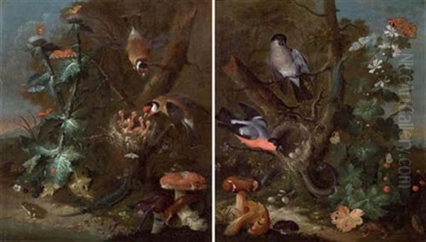 Stilleben Mit Vogeln Und Pilzen (+ Another; Pair) - view 1