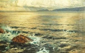 Weite Meereskuste by Willy Hamacher