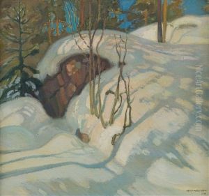 Sunny Slope by Vaeinoe Haemaelaeinen