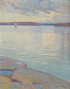 Evening Light by Vaeinoe Haemaelaeinen