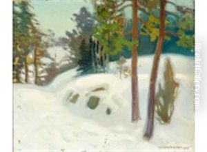 Winter's Day by Vaeinoe Haemaelaeinen