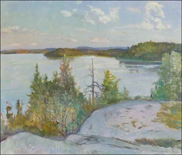 Nakyma Jarvelle - Utsikt Over Sjon - view 1