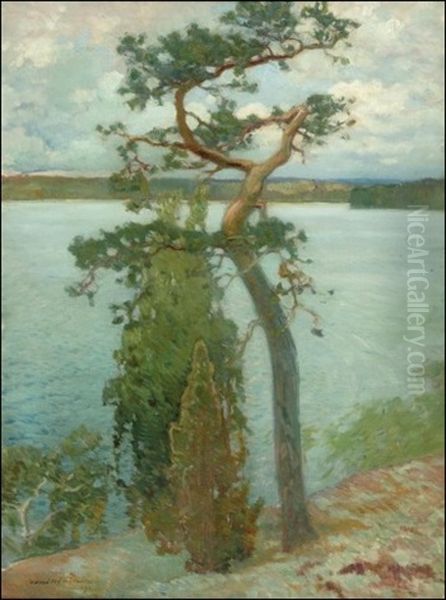 Vesijarven Rantaa - view 1