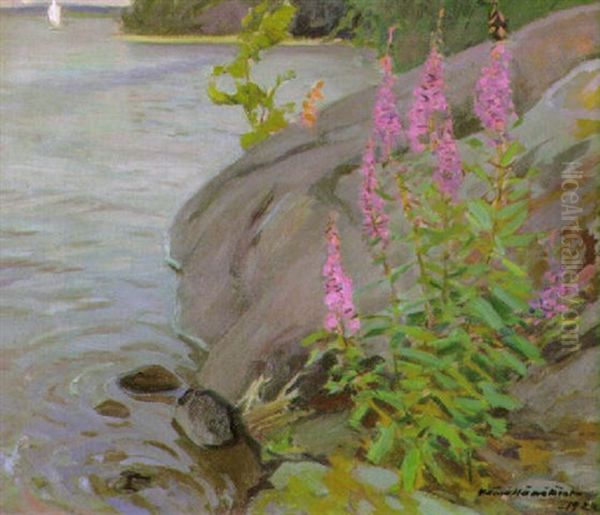 Rantakallioita - view 1