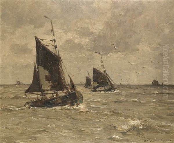 Fischerboote Im Wind - view 1