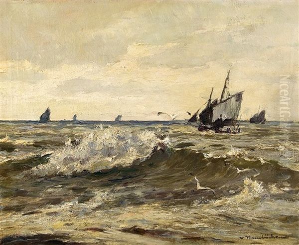 Mowen Vor Den Fischerbooten - view 1