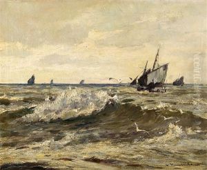 Mowen Vor Den Fischerbooten