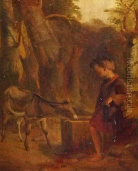 Young Boy With Donkey Drinking From A Well - view 1