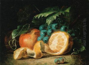 Fruit Still Life