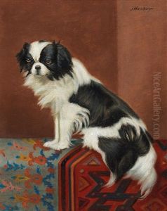 Pekinese by Julius Hamburger