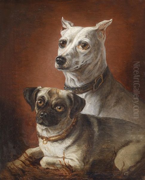 Hundeportraits - view 1