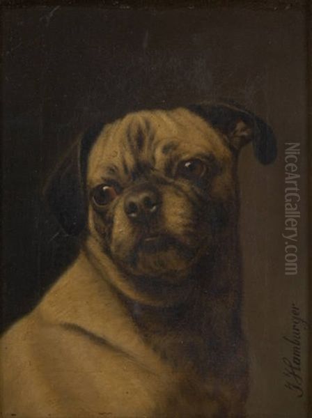 Regard Canin - view 1